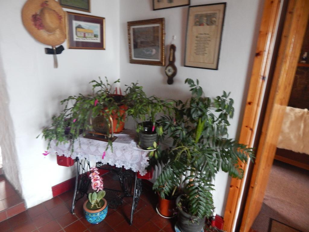 The Olde Castle B&B Renvyle Ngoại thất bức ảnh